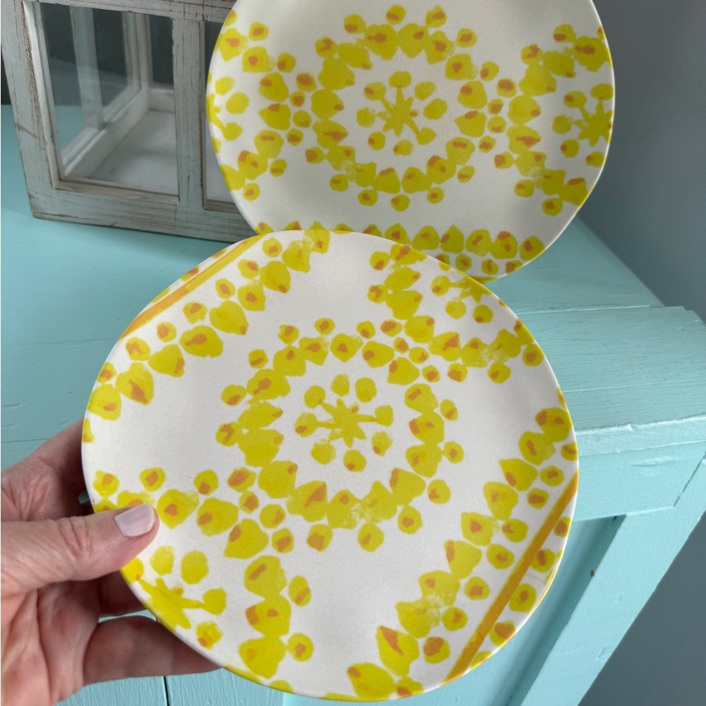 Set of 2 Anthropologie Plates